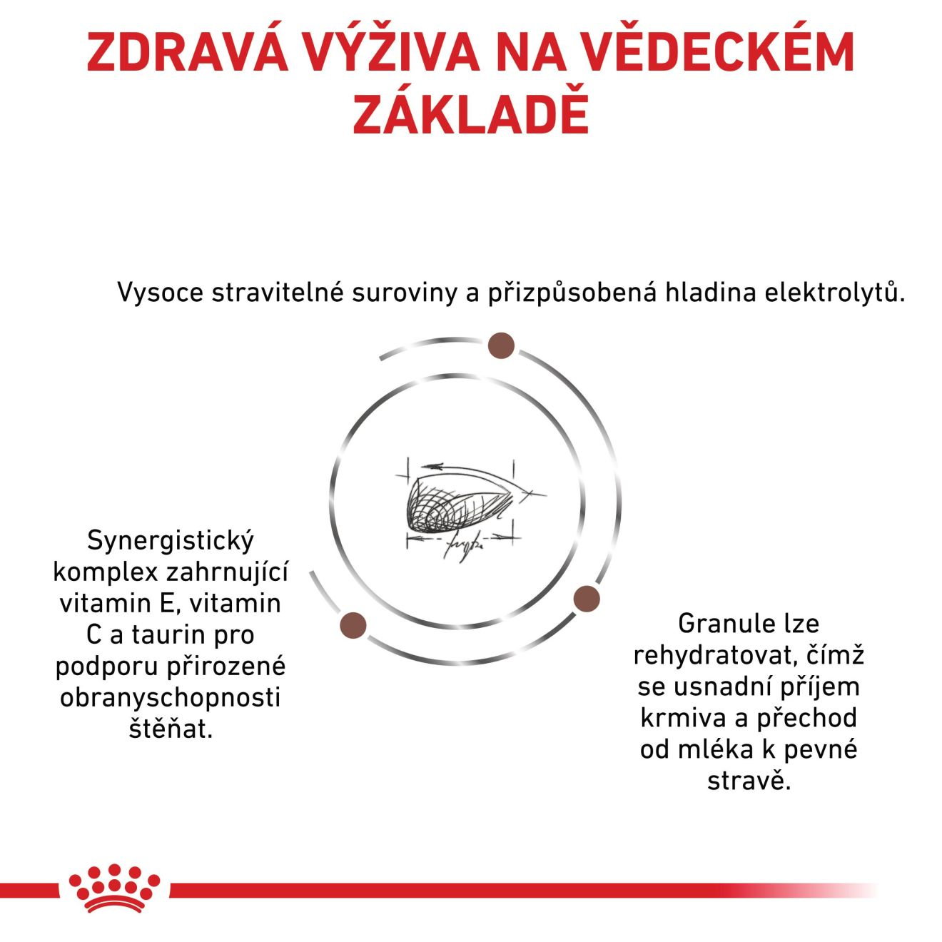 ROYAL CANIN Dog Gastrointestinal Puppy granule pro štěňata s onemocněním trávicího traktu