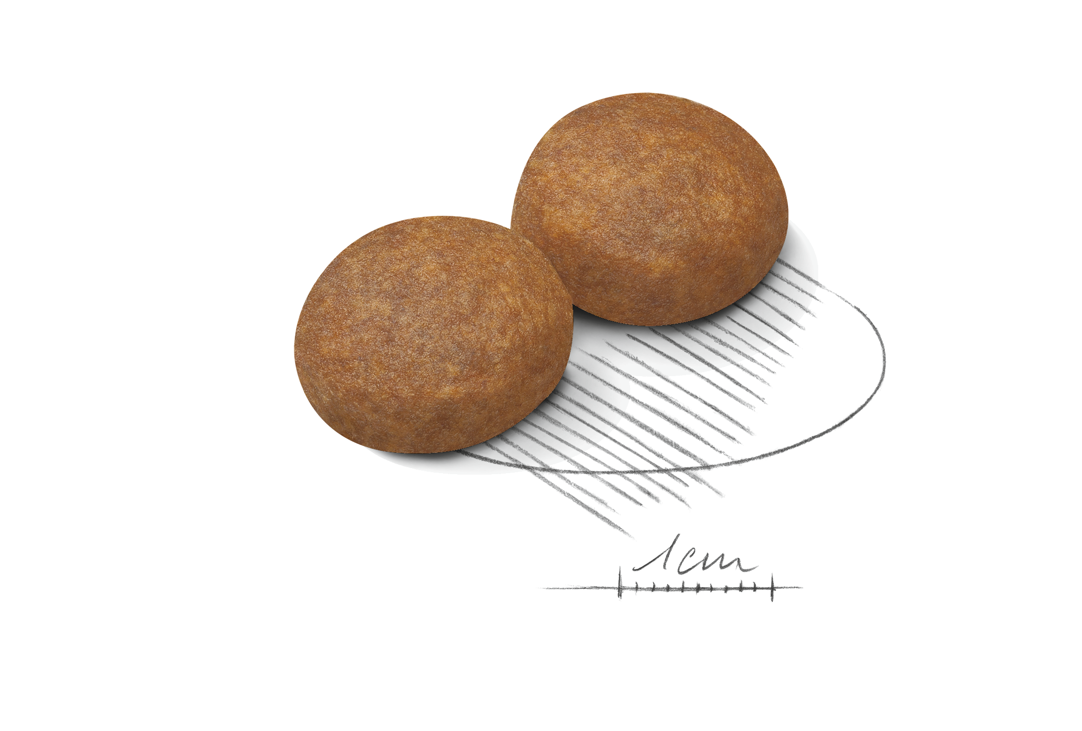 ロイヤルカナン マキシアダルト　１６キロ ロイヤルカナン マキシアダルト 16キロ