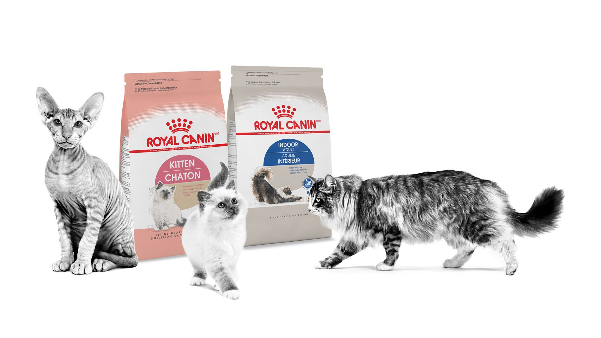 Royal Canin Cat packages
