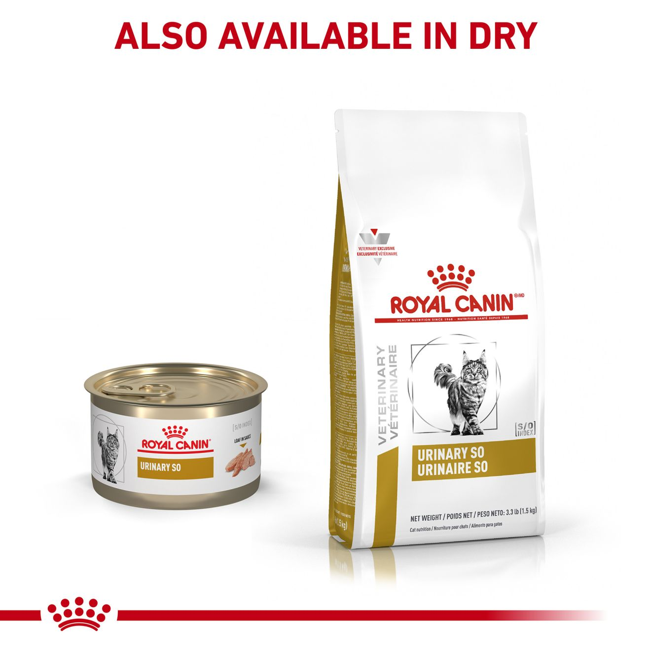 Feline Urinary SO® loaf in sauce | Royal Canin US