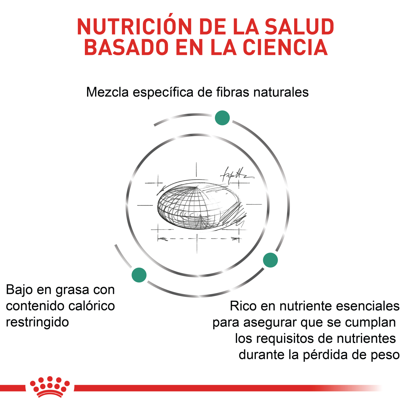 Satiety Weight Management