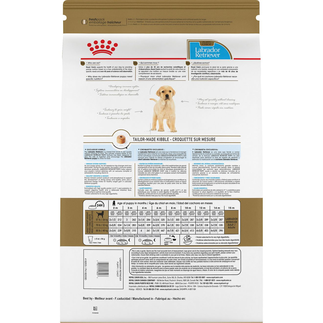 Labrador 2024 feeding guide