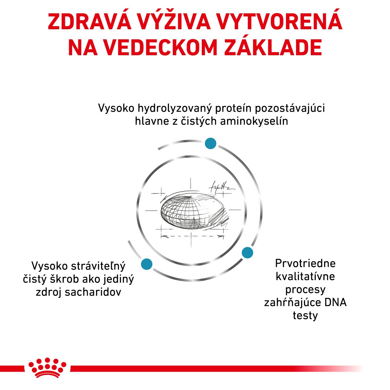 VHN Cat Anallergenic