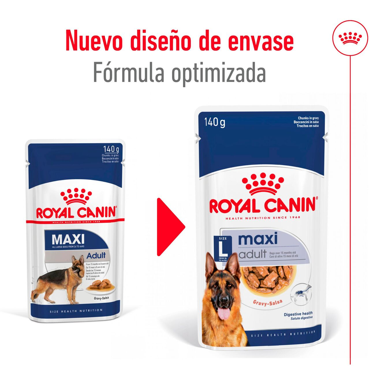 Maxi Adult