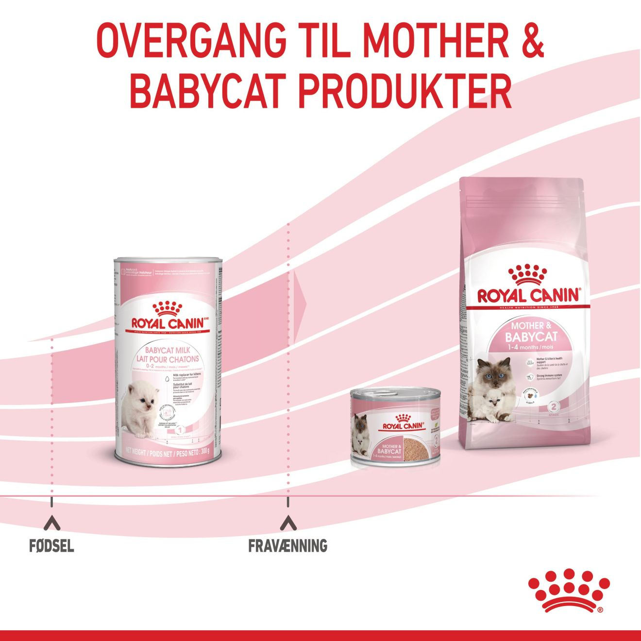 Babycat Milk