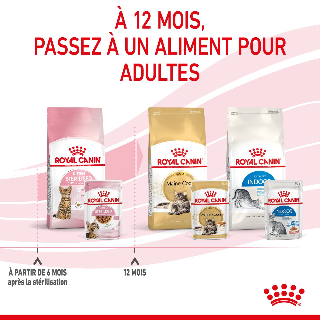 Kitten Sterilised Sauce - Sachet fraîcheur pour chaton stérilisé