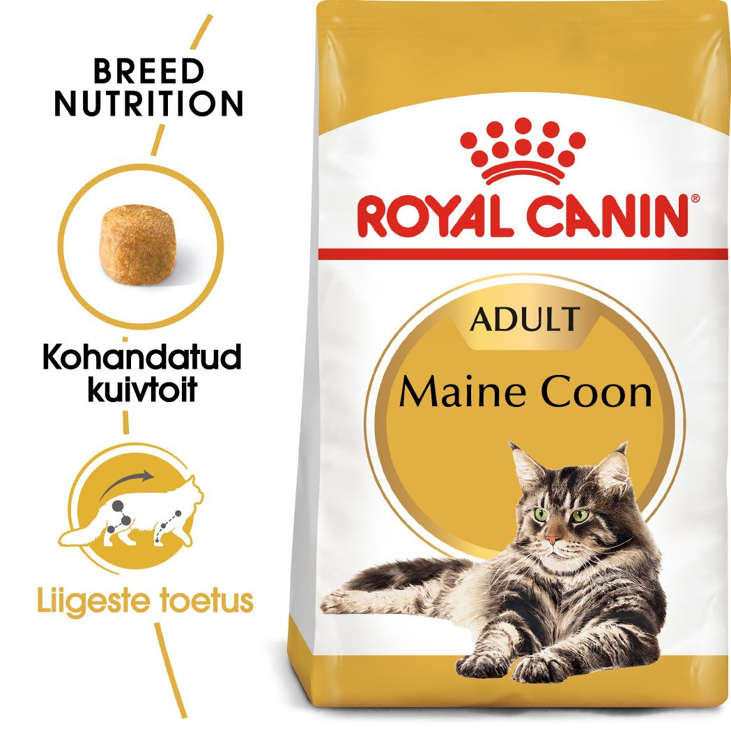 Royal Canin Maine Coon Adult kuivtoit