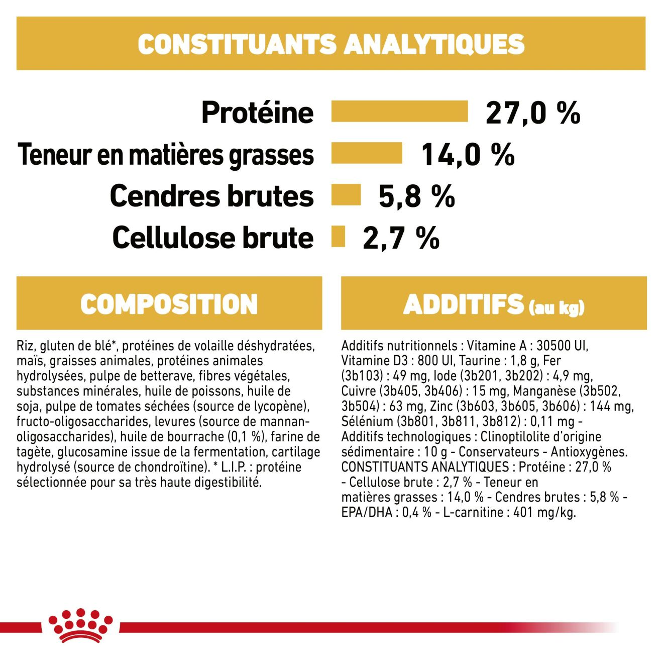 Cavalier King Charles Adulte