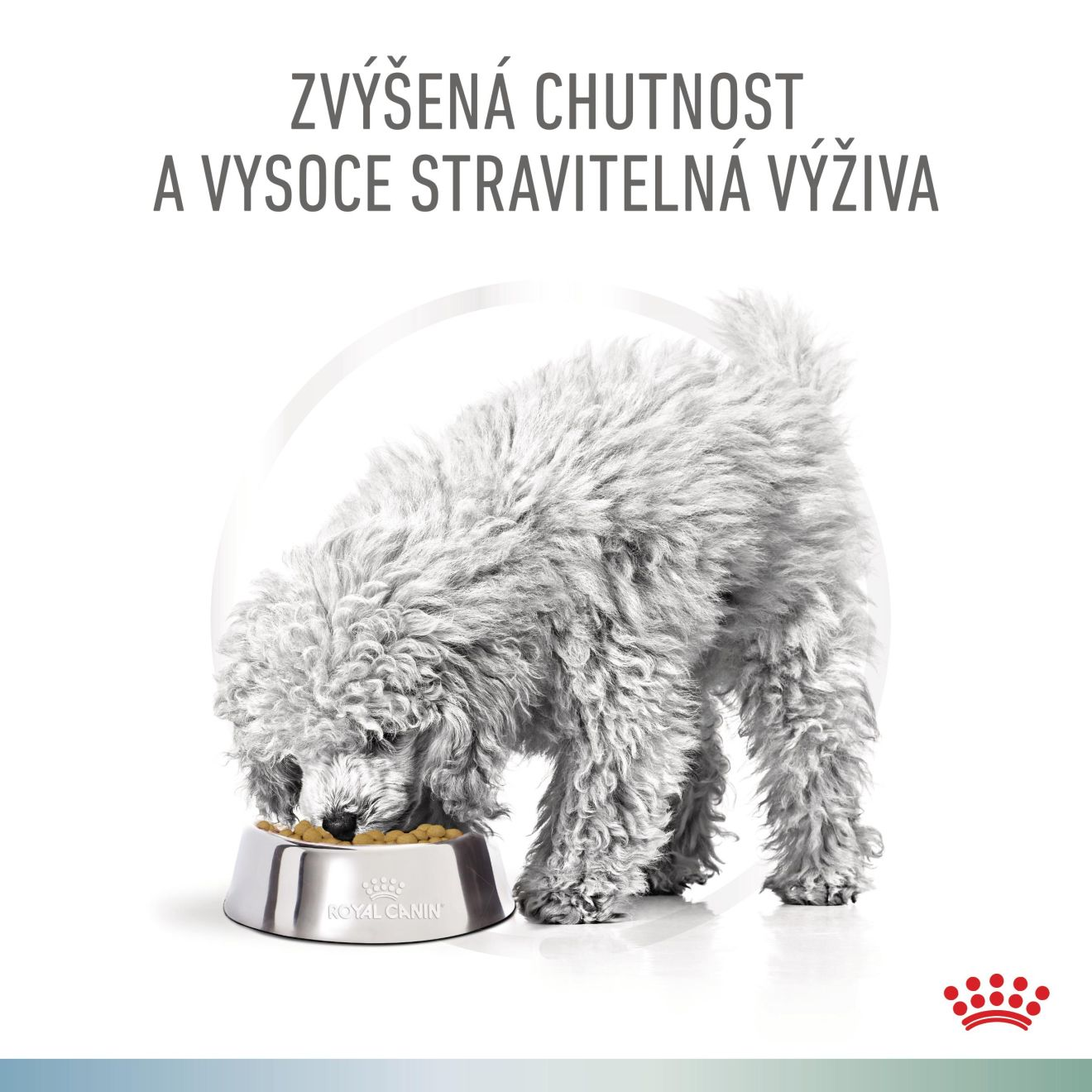 VHN Dog CA Hypoallergenic - Satiety Small
