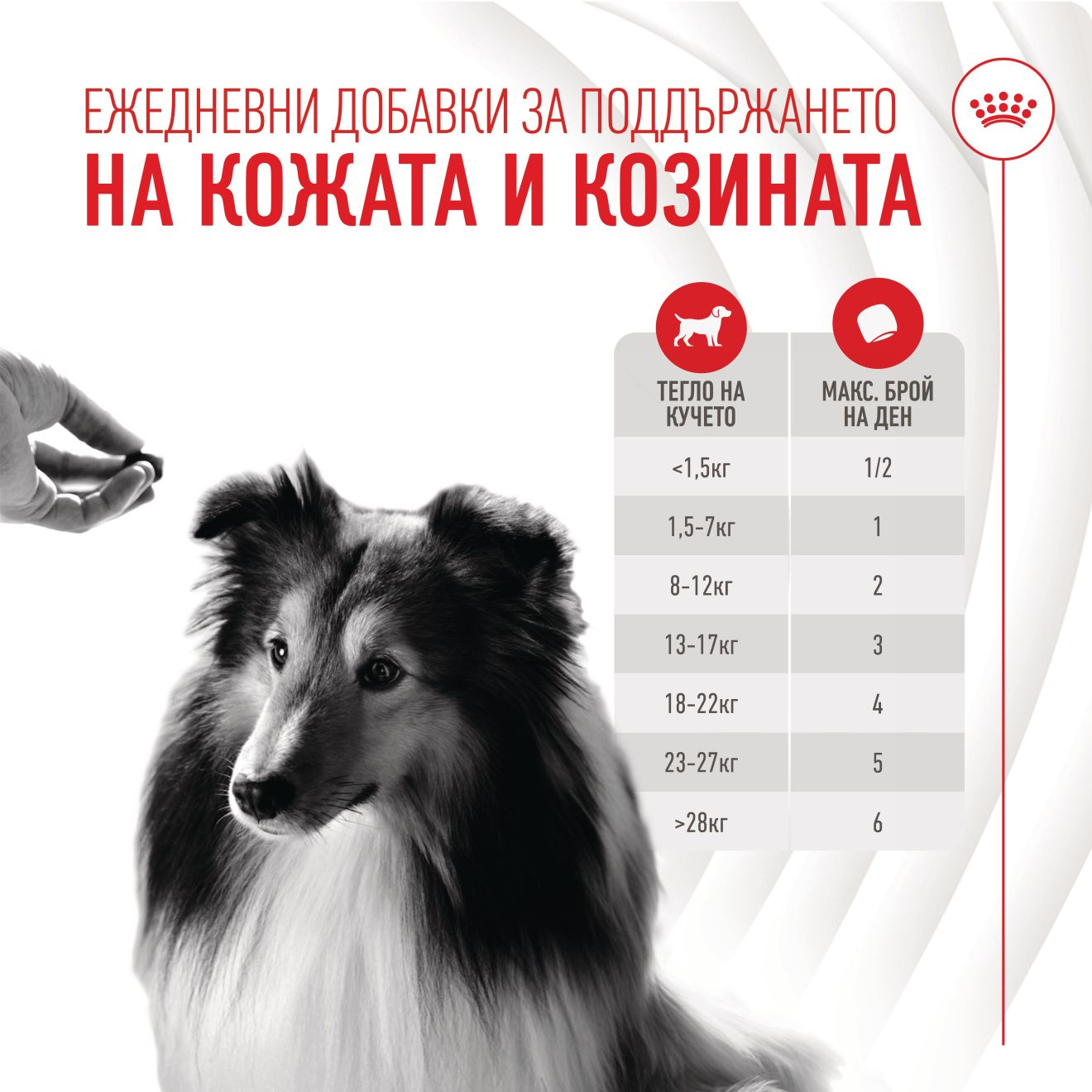 SKIN & COAT CHEWS