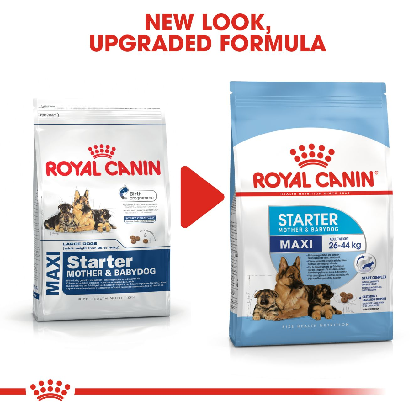 royal canin maxi starter professional