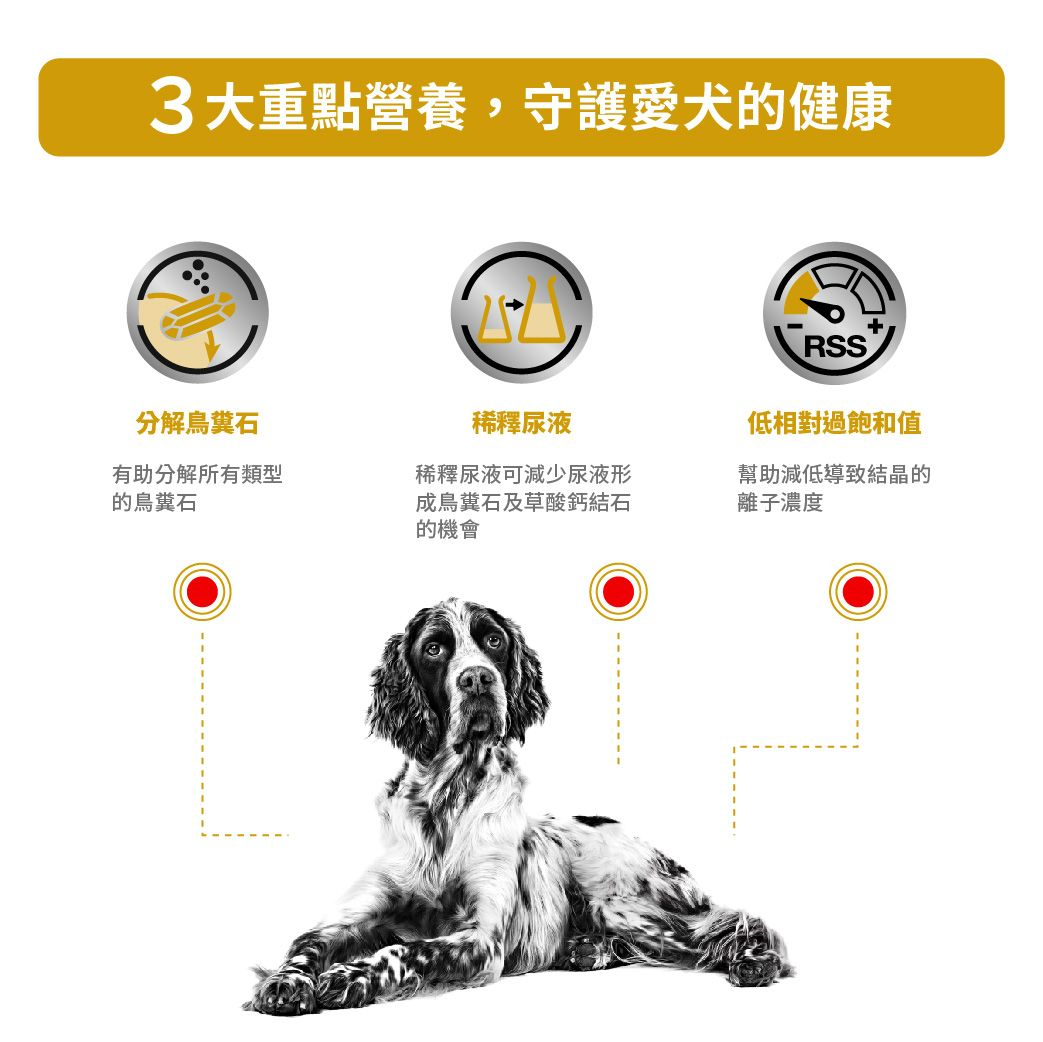 成犬泌尿道處方罐頭