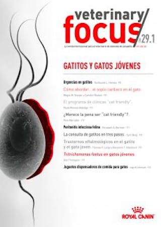 Revista 29.1 Gatitos y gatos jóvenes