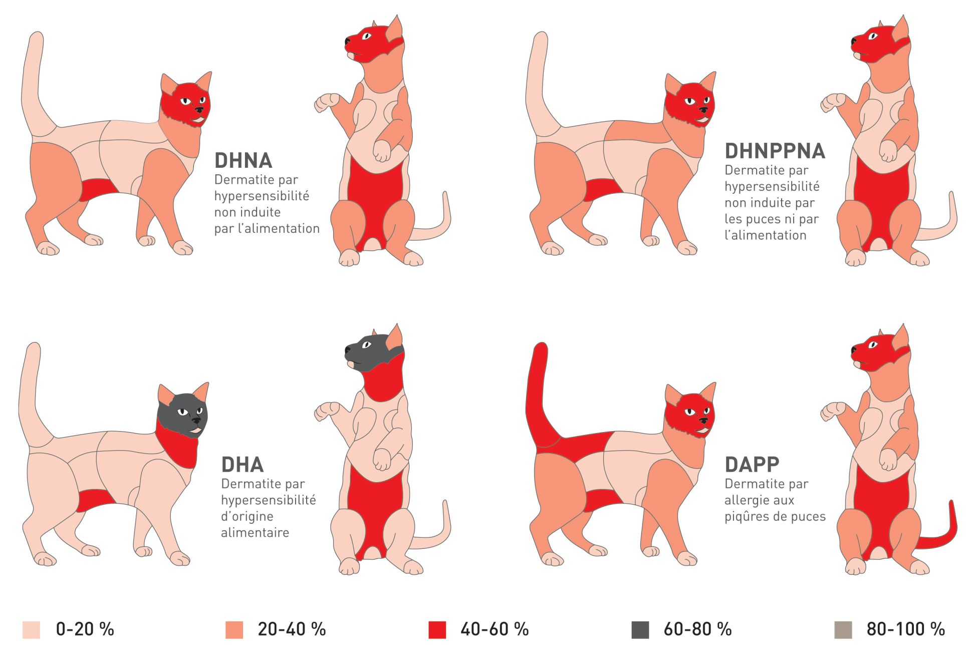 Silhouettes depicting the proportion of distribution of lesions in cats with hypersensitivity dermatides 