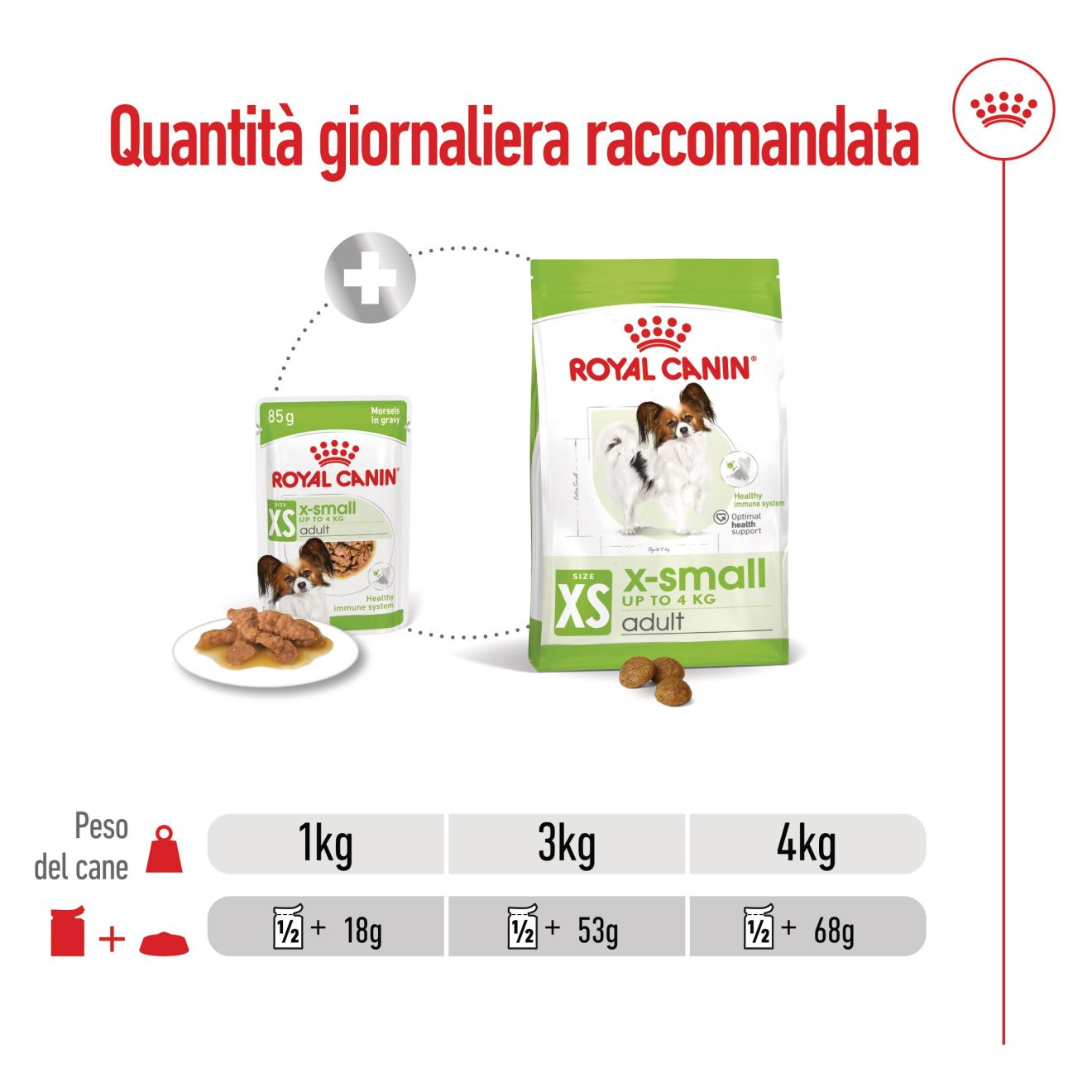 X-Small Adult bocconcini in salsa