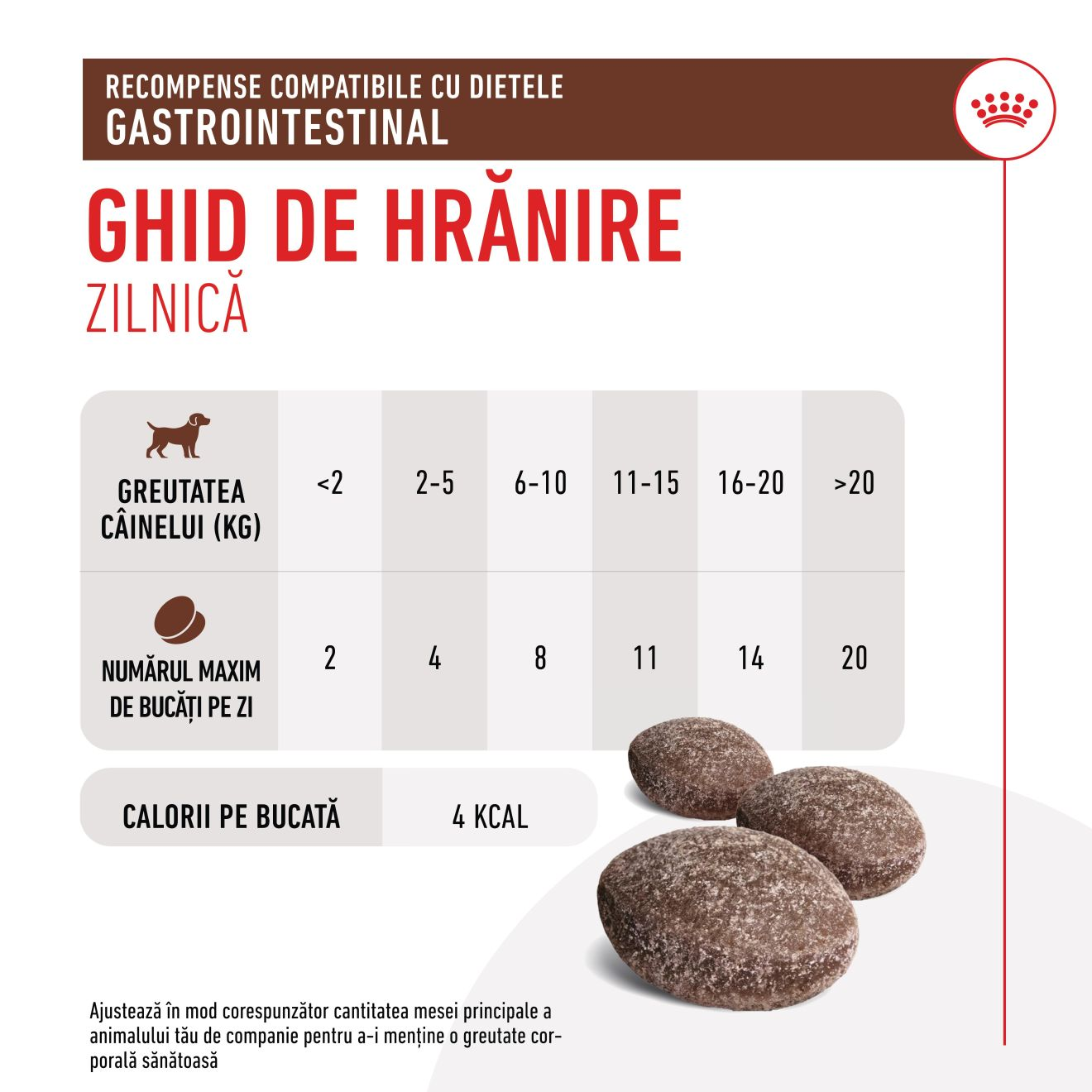 TREATS COMPATIBLE WITH GASTROINTESTINAL DIETS​