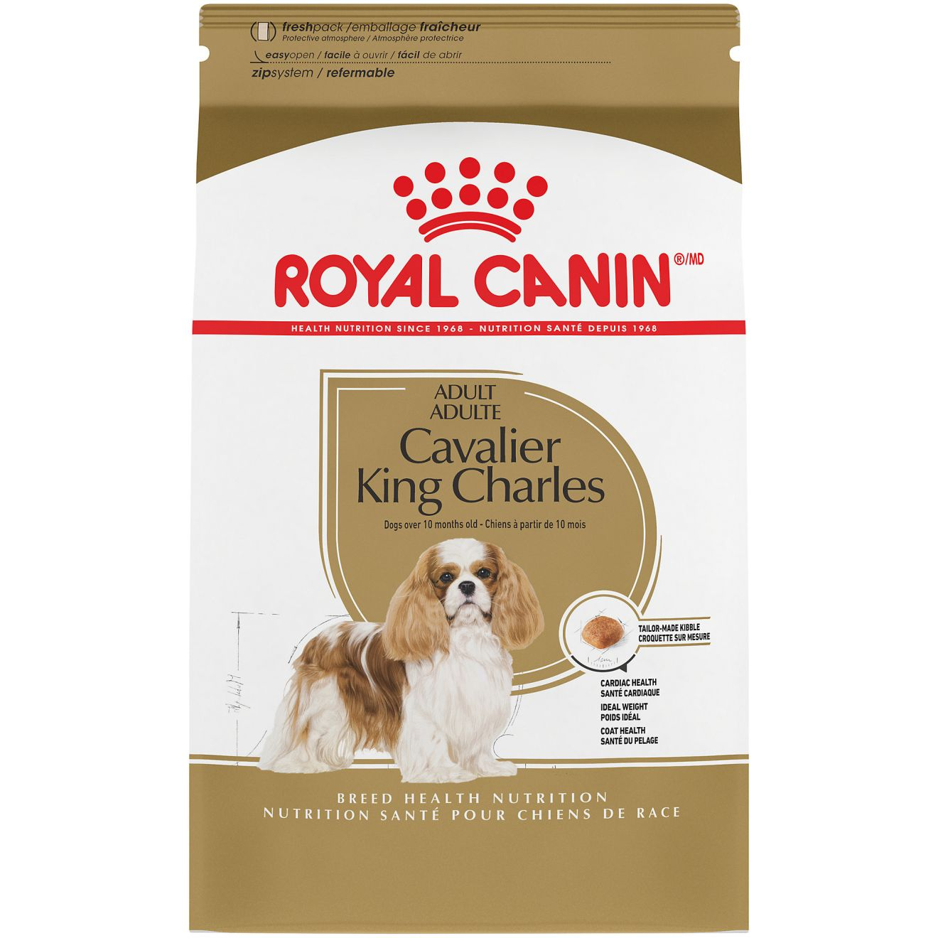 Cavalier king charles sales spaniel diet