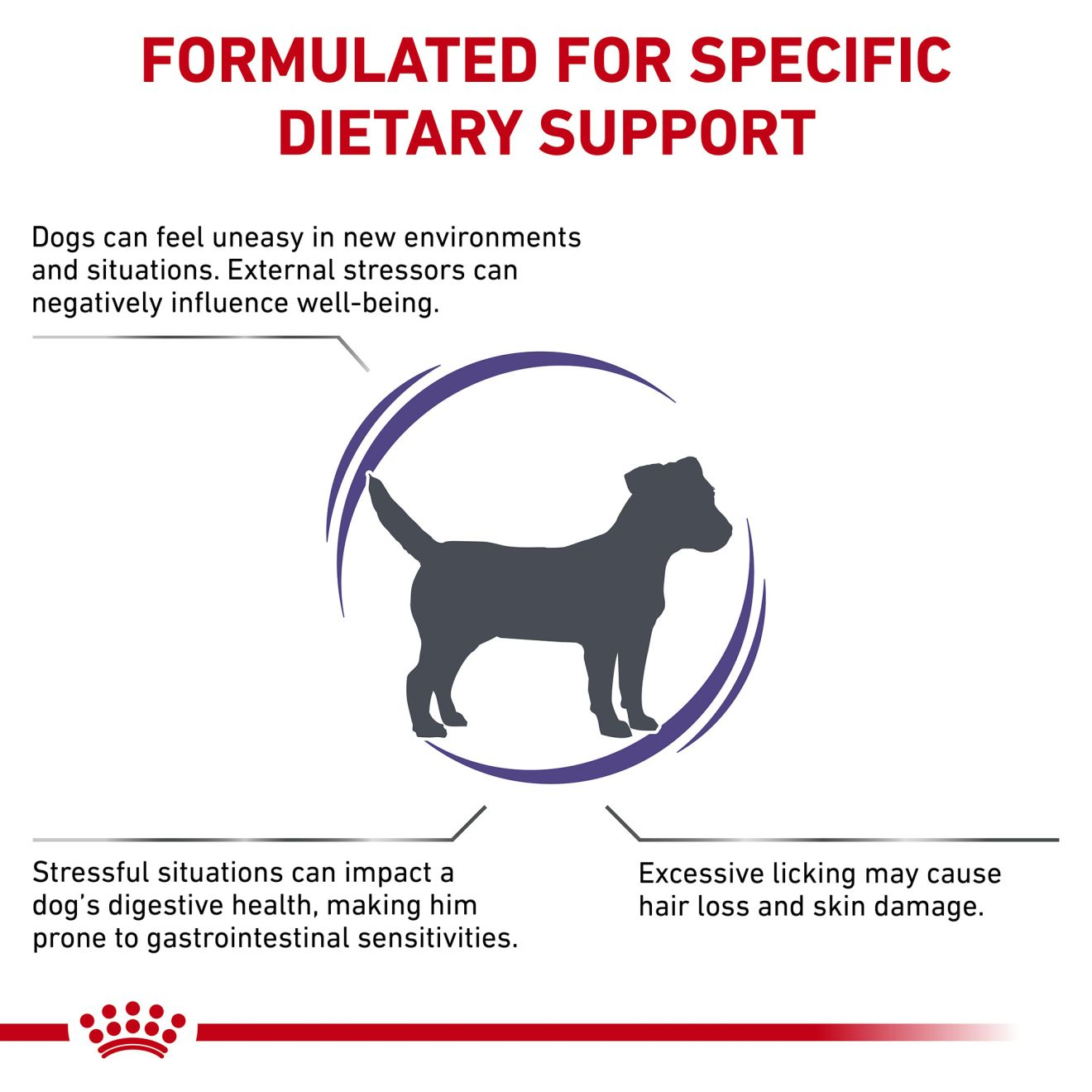 Royal canin 2024 calming dog food