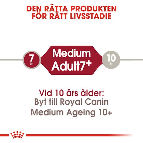 Medium Adult 7+