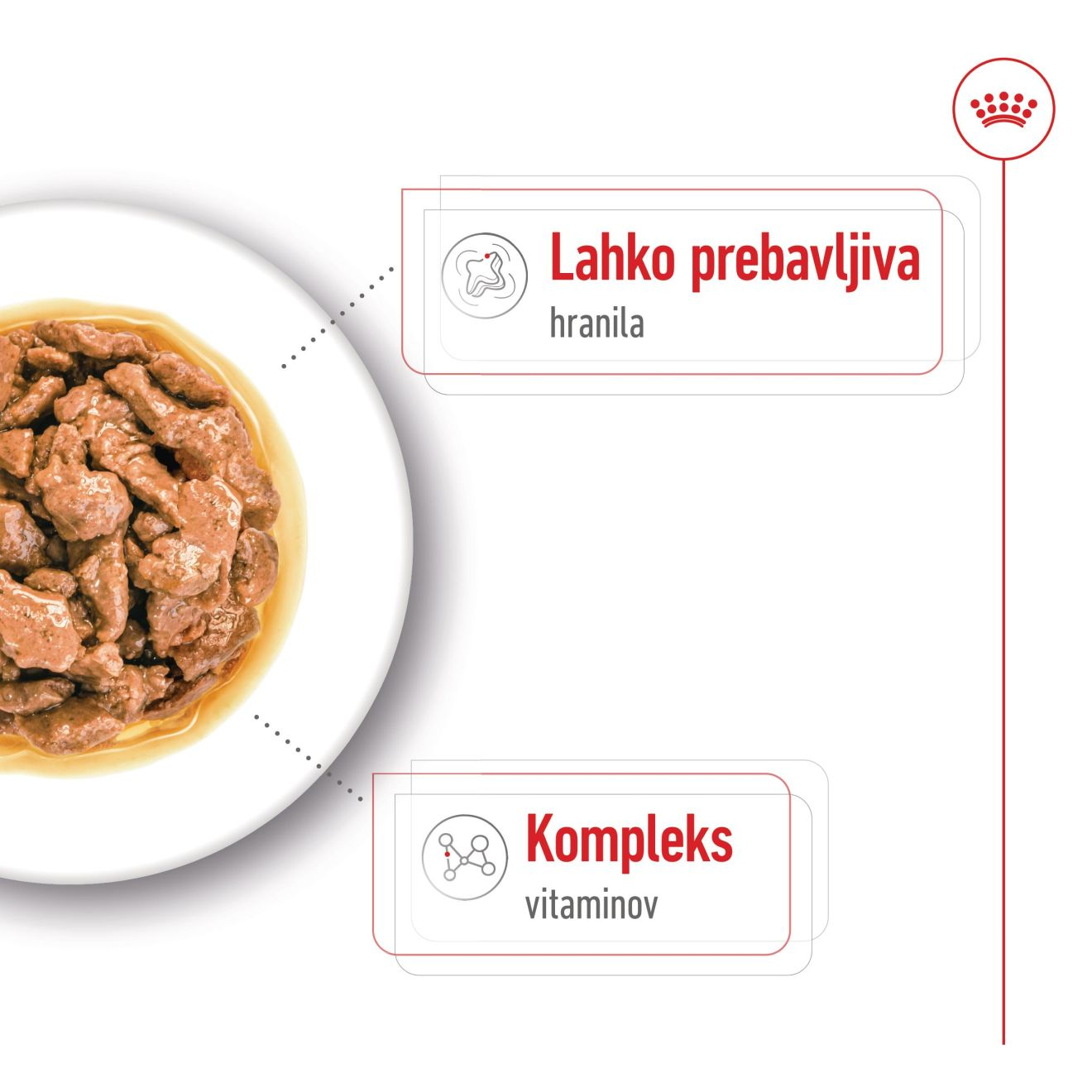 MINI ADULT - MORSELS IN GRAVY