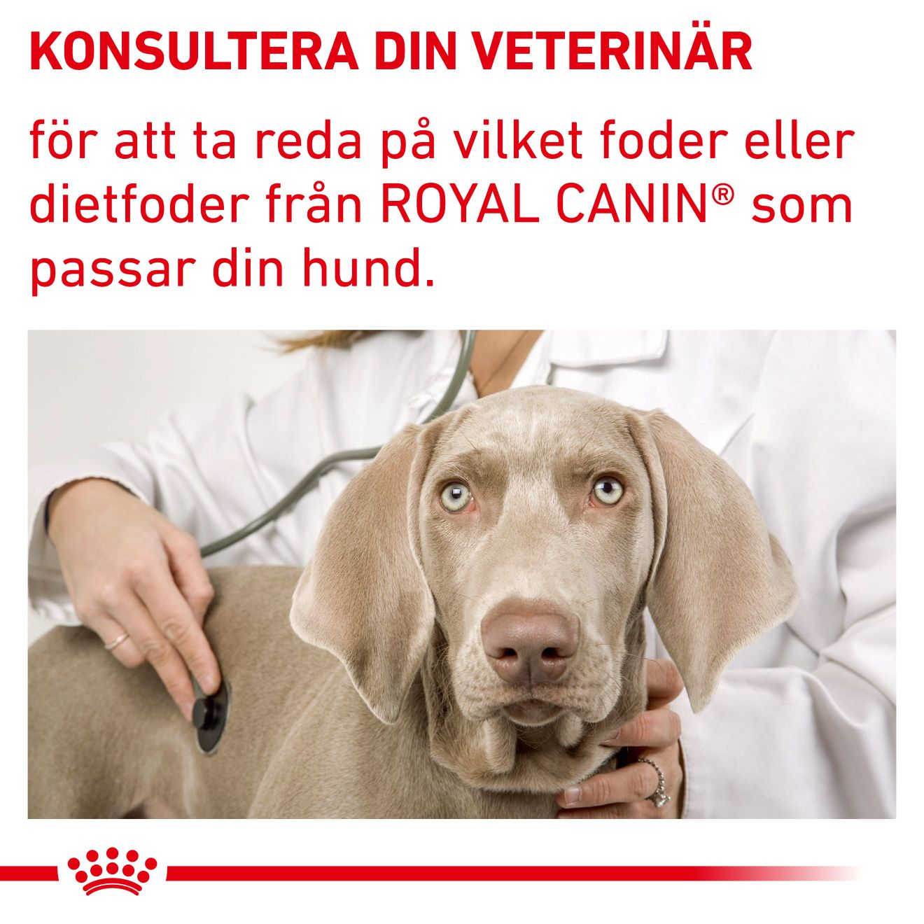 Health Neutered Adult