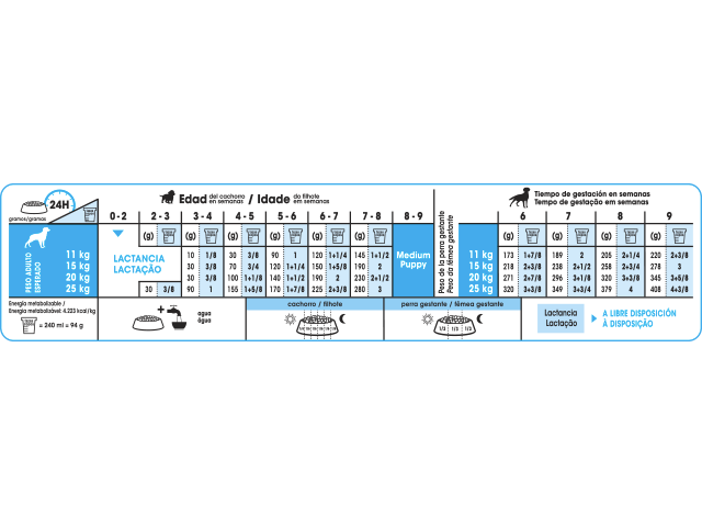 Medium Starter Mother & Babydog