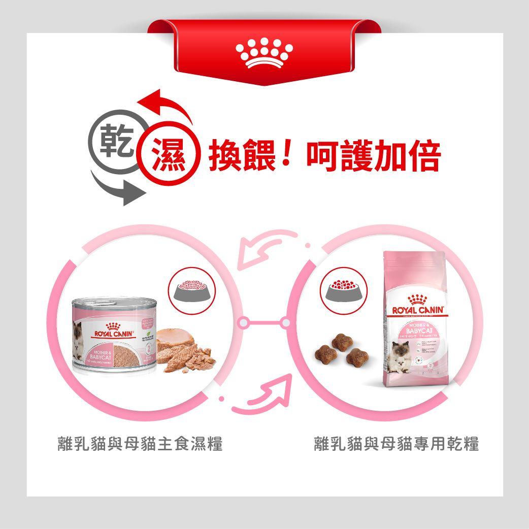 FHN 離乳貓及母貓營養主食罐頭