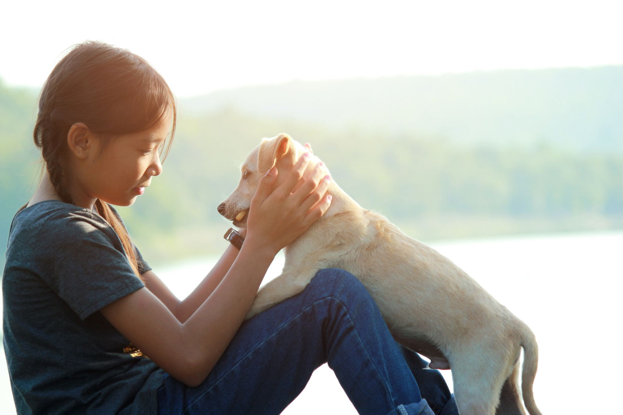 ownership girl playing with puppy