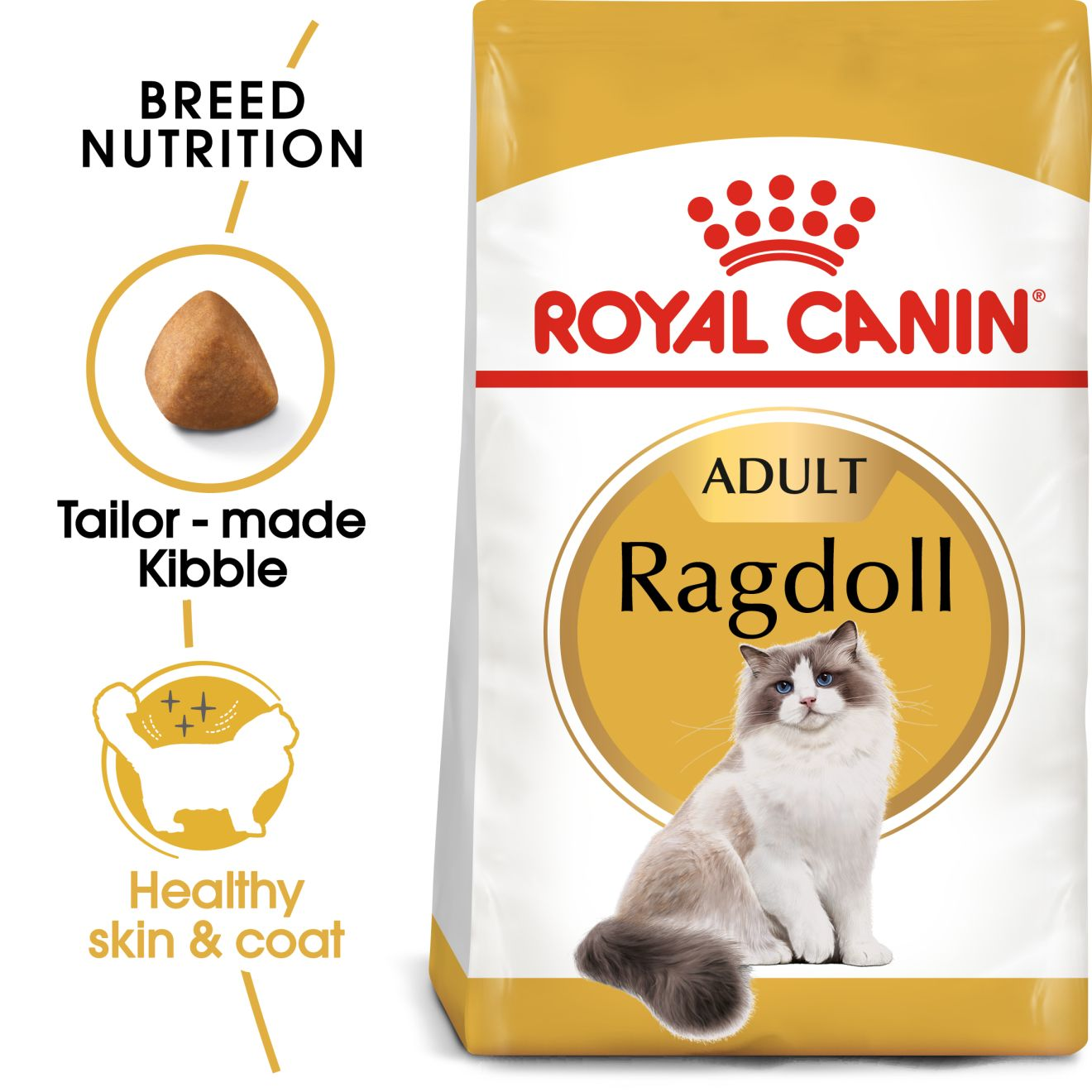 Ragdoll Adult