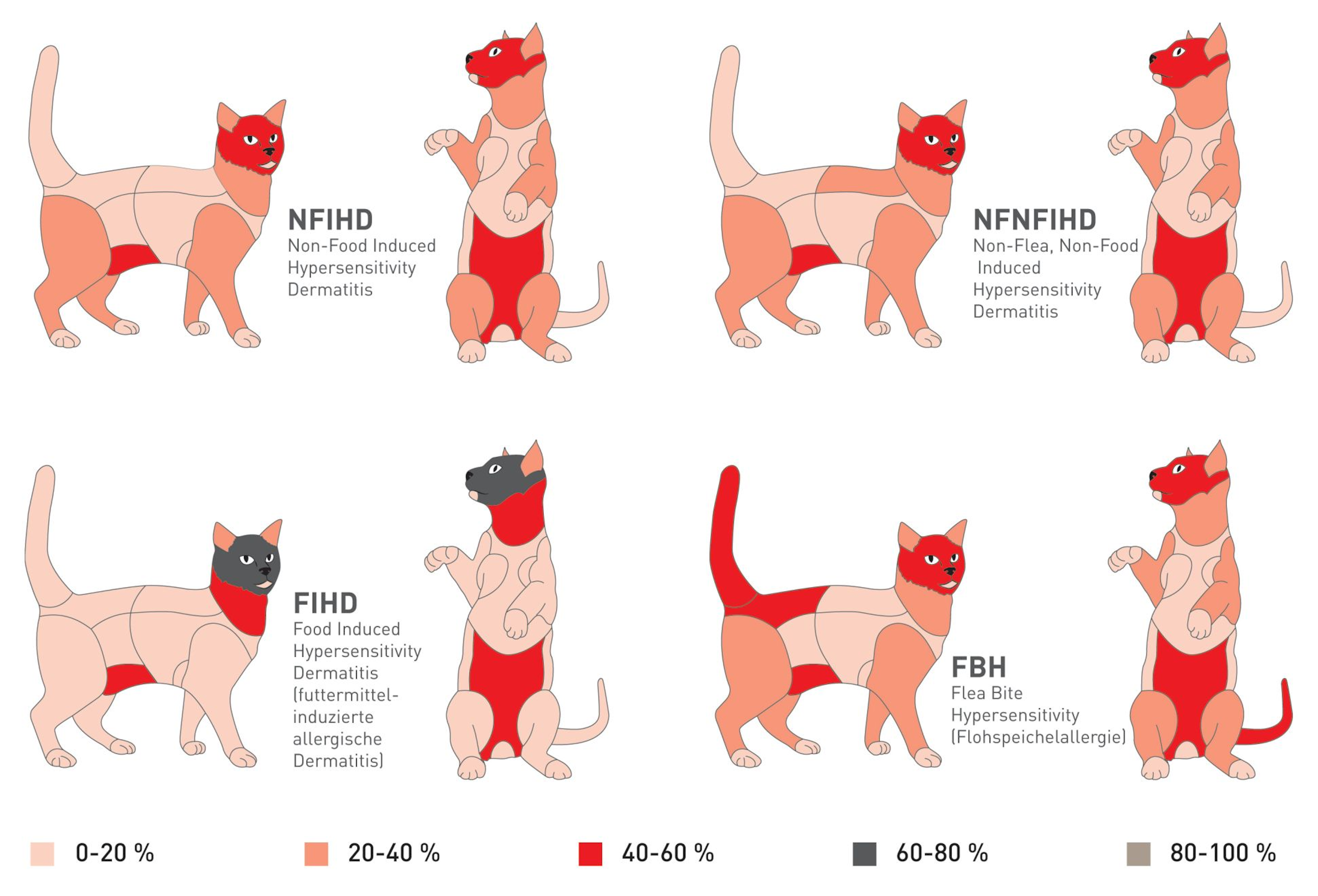 Silhouettes depicting the proportion of distribution of lesions in cats with hypersensitivity dermatides 