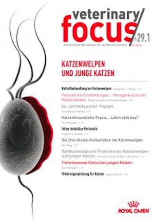 Ausgabe 29.1 Katzenwelpen und junge Katzen