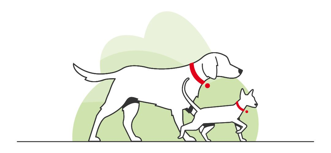 Illustrated dog and cat walking with a green background