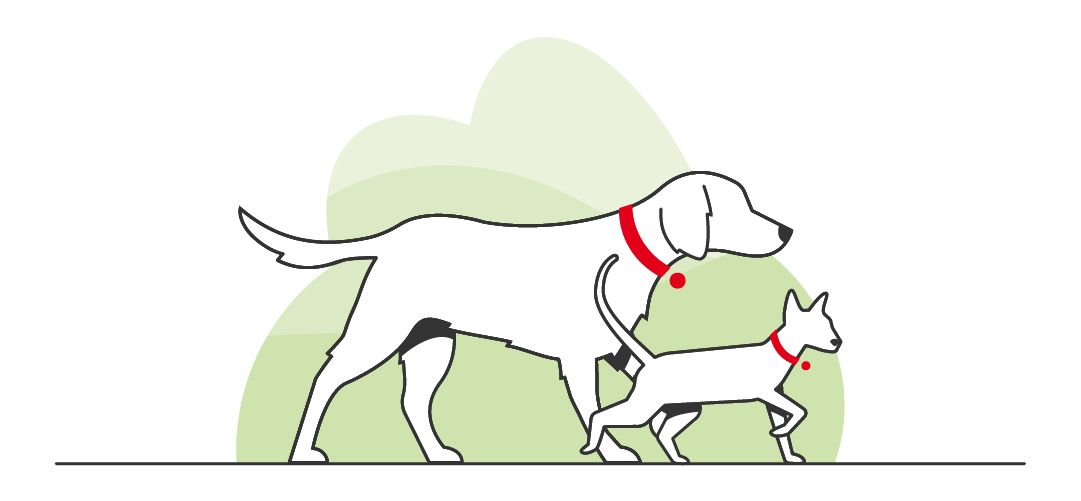 Ilustración de un perro y un gato caminando con fondo verde