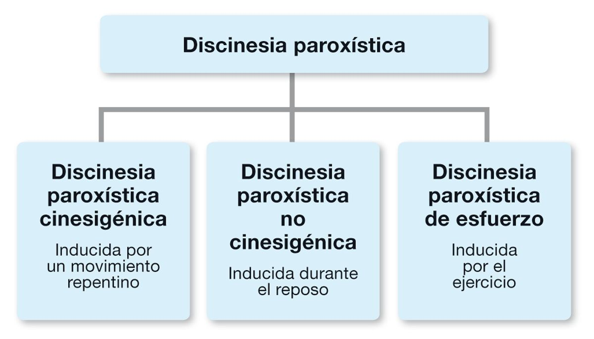 En los perros se han descrito varios tipos de discinesias paroxísticas, y su clasificación en función de la causa desencadenante puede resultar de utilidad.