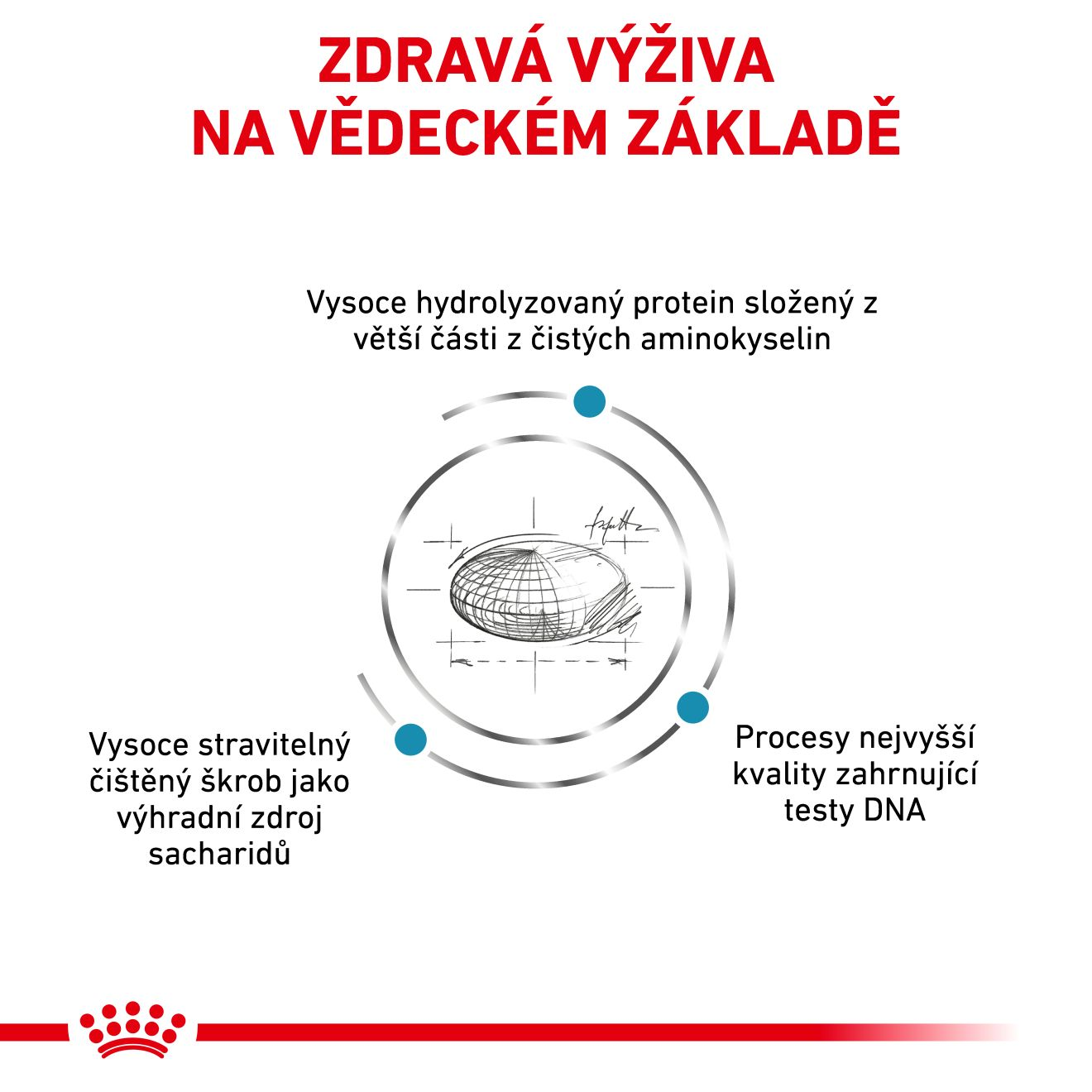VHN Cat Anallergenic