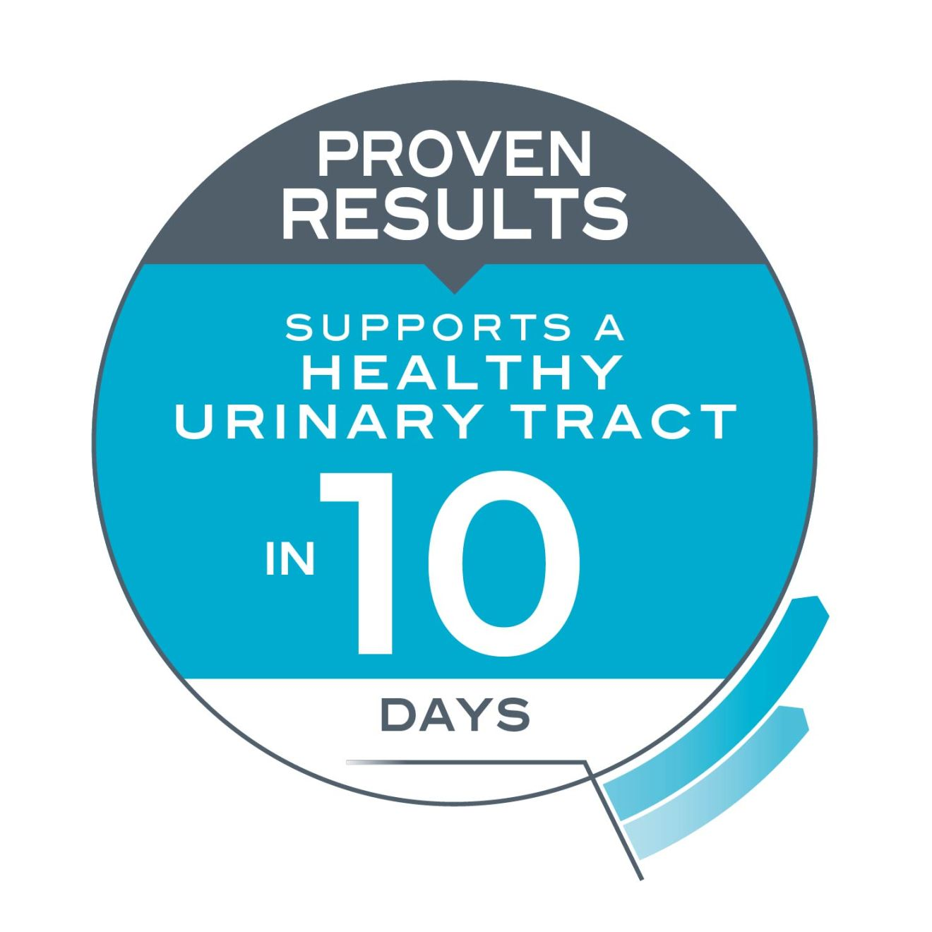 FCN Urinary Care Adult Cat (Gravy)