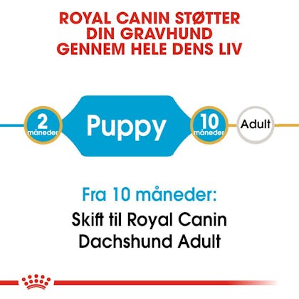 RC-BHN-PuppyDachshund-CM-EretailKit-1-da_DK