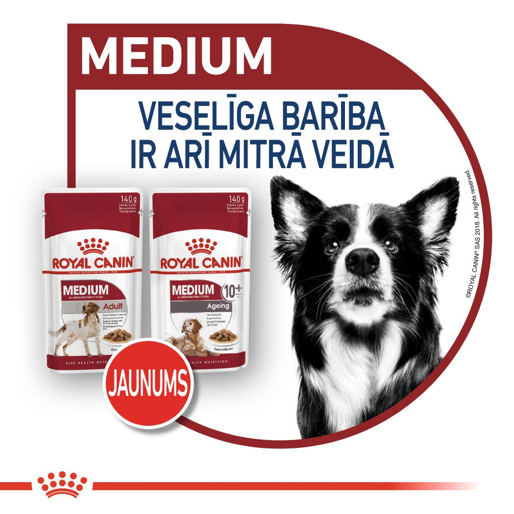 Medium Adult
