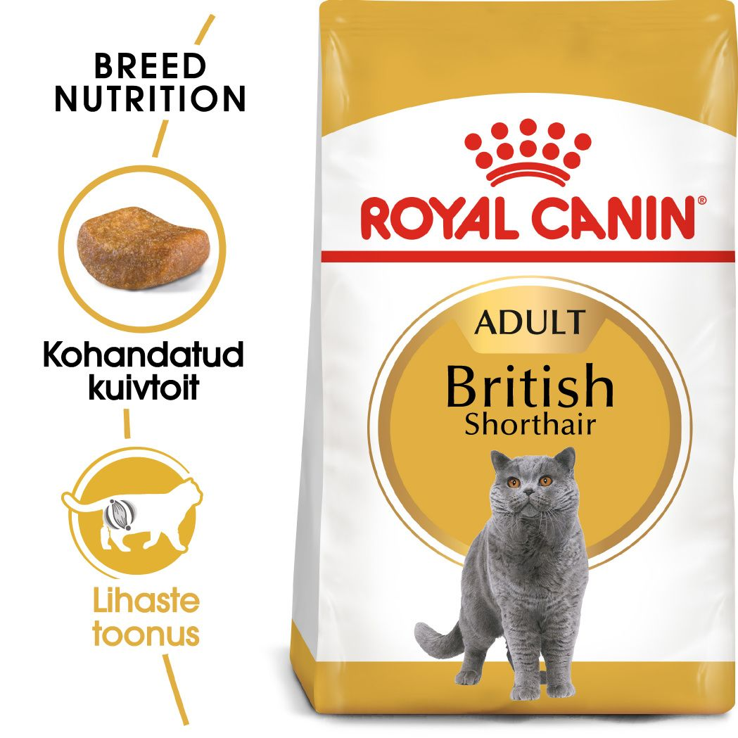 Royal Canin British Shorthair Adult kuivtoit