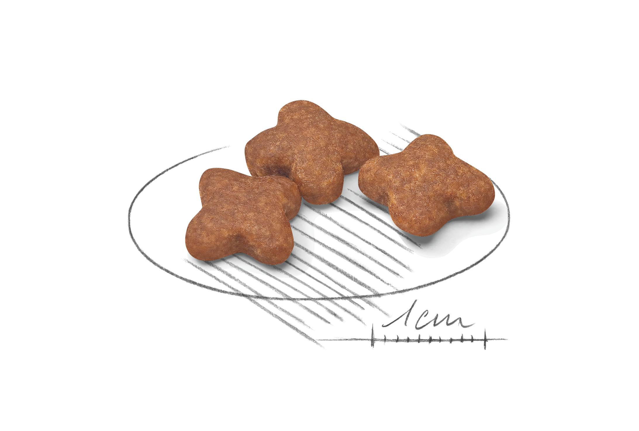 อาหารสุนัขสูงวัย พันธุ์เล็ก ชนิดเม็ด (MINI ADULT 8+)