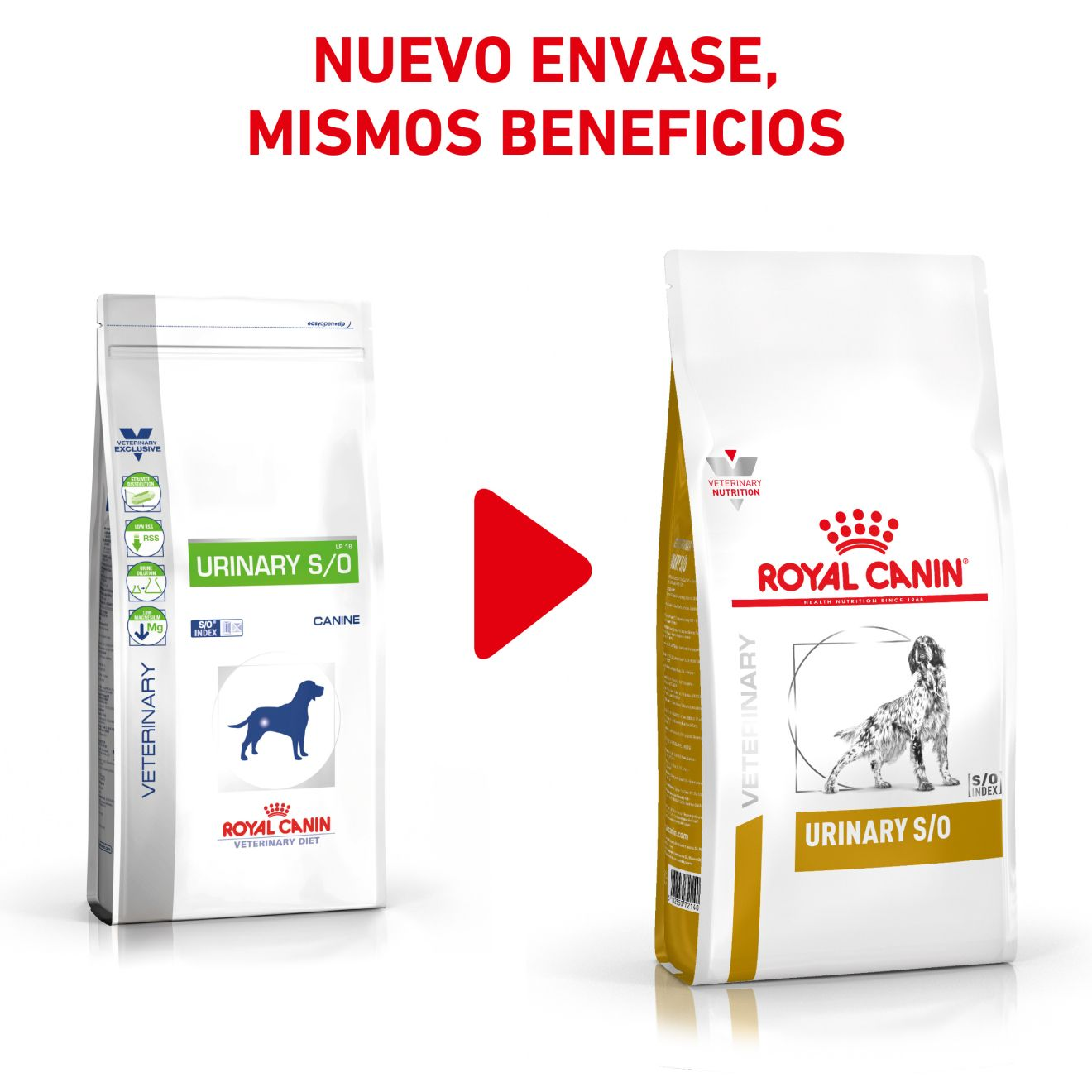 Urinary S/O Royal Canin ES