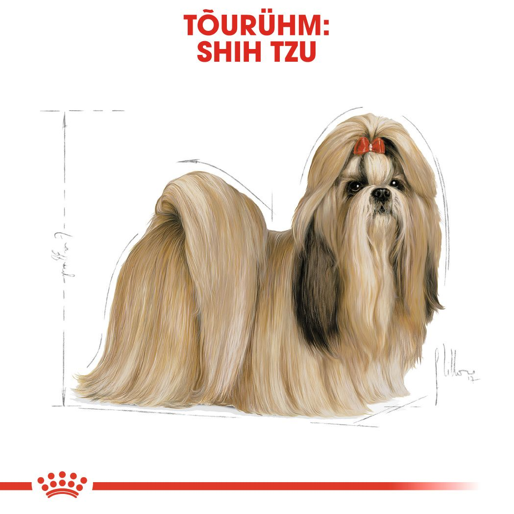 Royal Canin Shih Tzu Adult kuivtoit