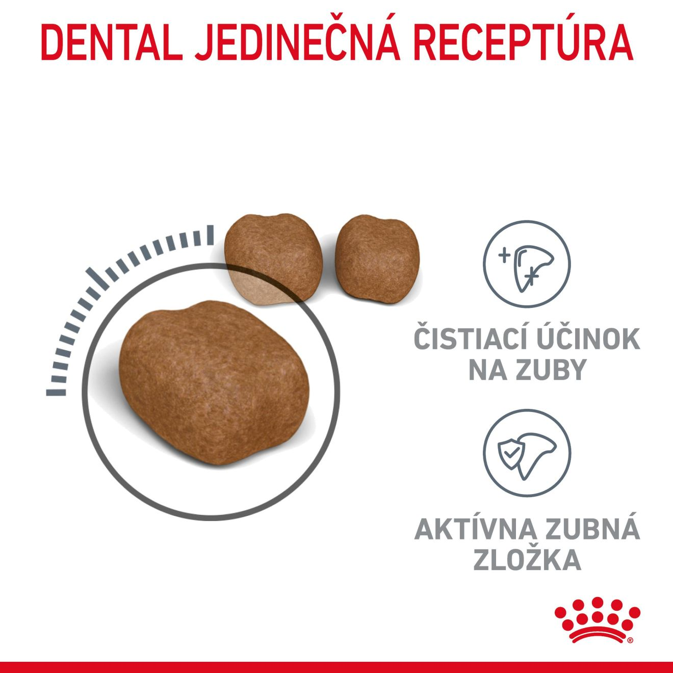 DENTAL CARE