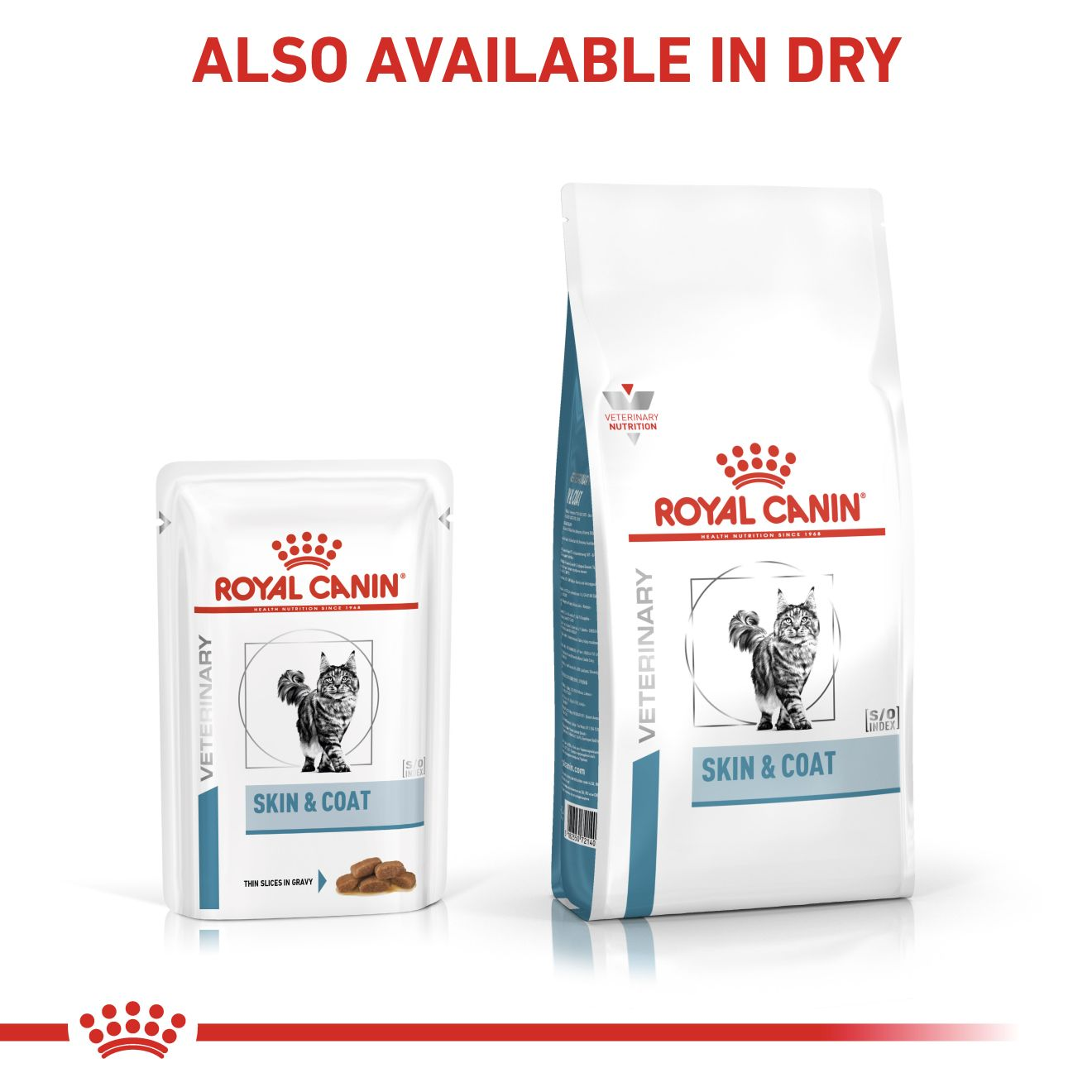 Royal canin skin and coat sale cat