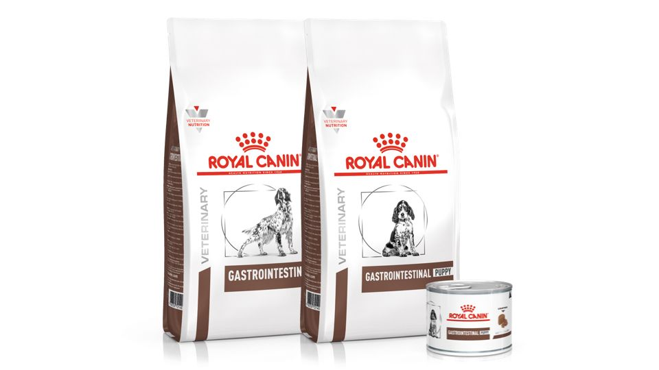 Dog gastrointestinal product range 