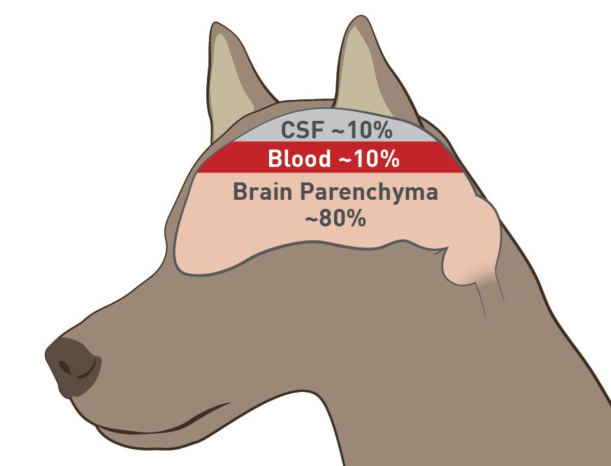 The Monro-Kellie doctrine