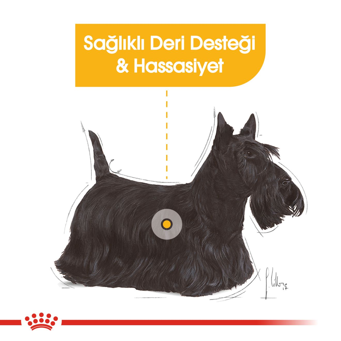 Dermacomfort Loaf Yetişkin Köpek Yaş Maması