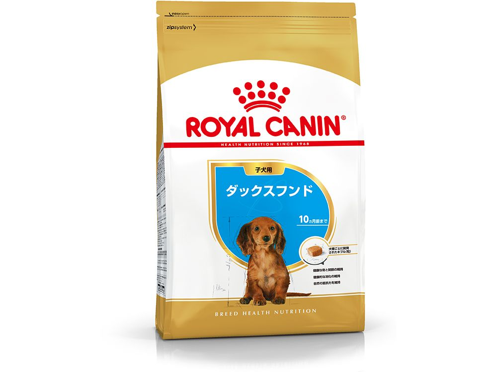 ダックスフンド 子犬用 | Royal Canin JP