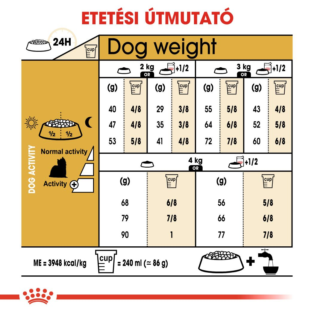 Yorkshire Terrier Adult