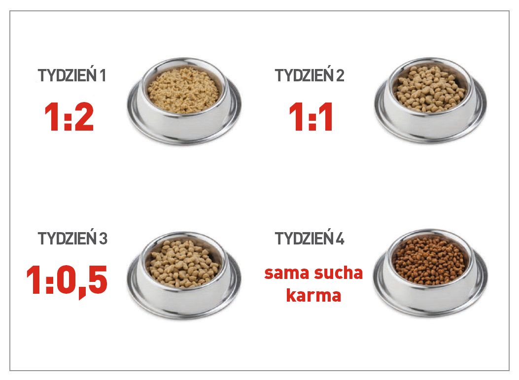 The image shows the ratio of water to kibble to be used (by volume, not weight) to rehydrate dry food